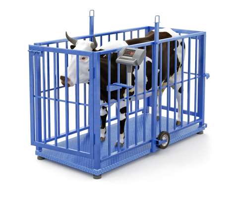 Весы для взвешивания скота ВСР-А-М-300-1500 (1)