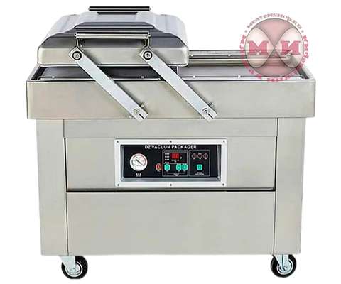 Вакуумный упаковщик DZQ-400/2SB SS (нерж, газ)