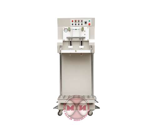 Вакуумный упаковщик DZQ-600L/S (газ)